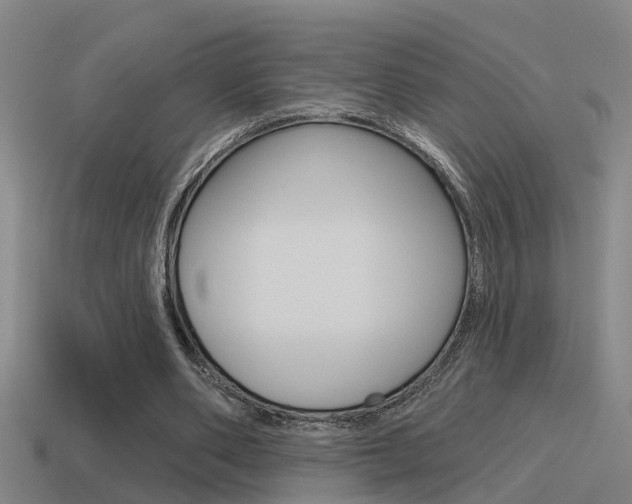 X0000115490486200911061005