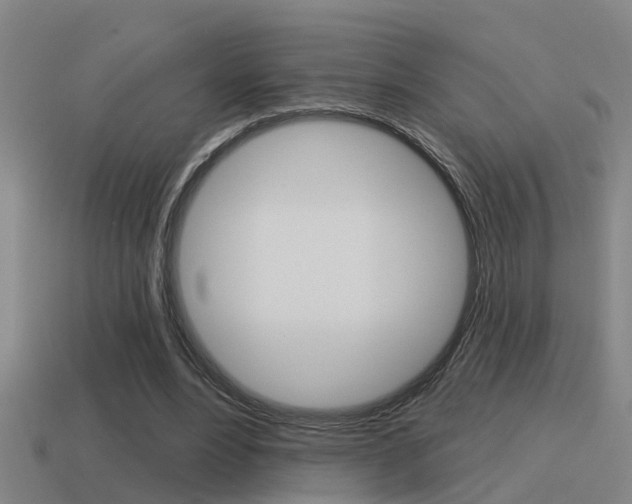 X0000115490488200911061005