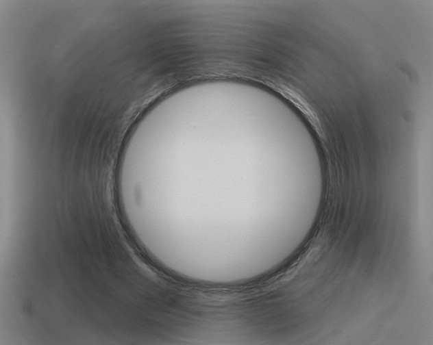 X0000115490489200911061005