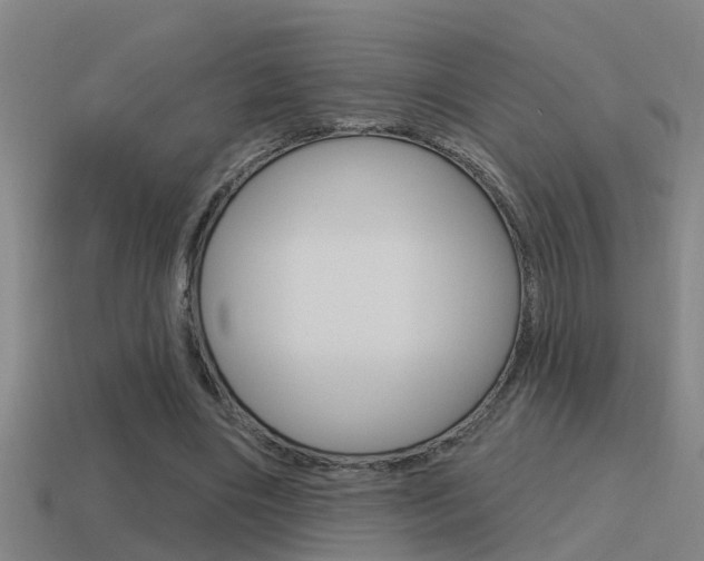 X0000115490490200911061005