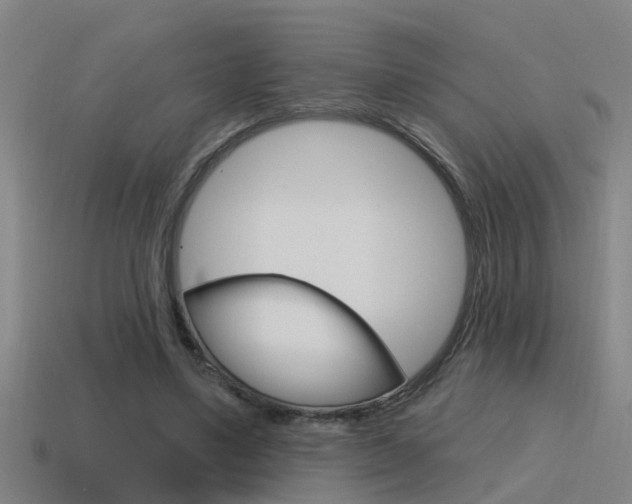 X0000115490491200911061005