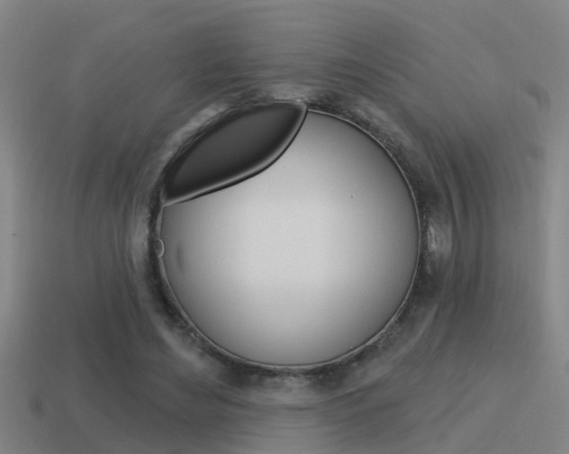 X0000115490492200911061005