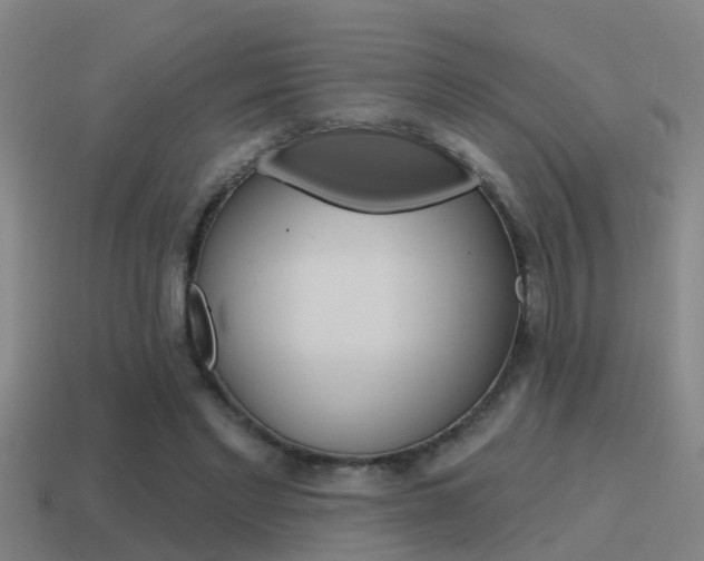 X0000115490493200911061005