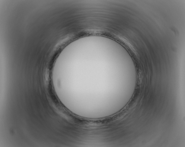 X0000115490494200911061005