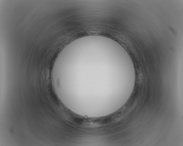 X0000115490498200911061005