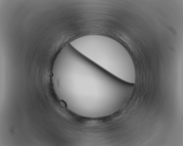 X0000115490499200911061005