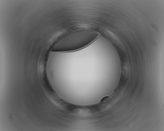 X0000115490500200911061005