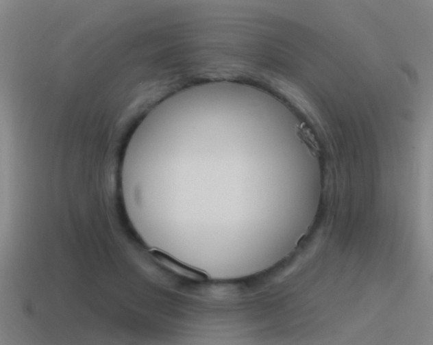 X0000115490501200911061005