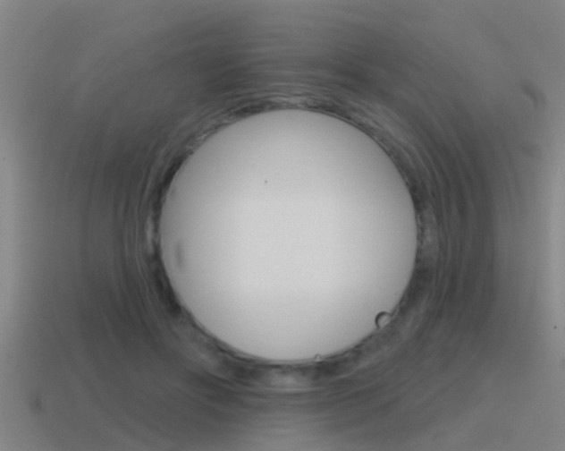 X0000115490502200911061005