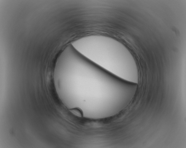 X0000115490503200911061005