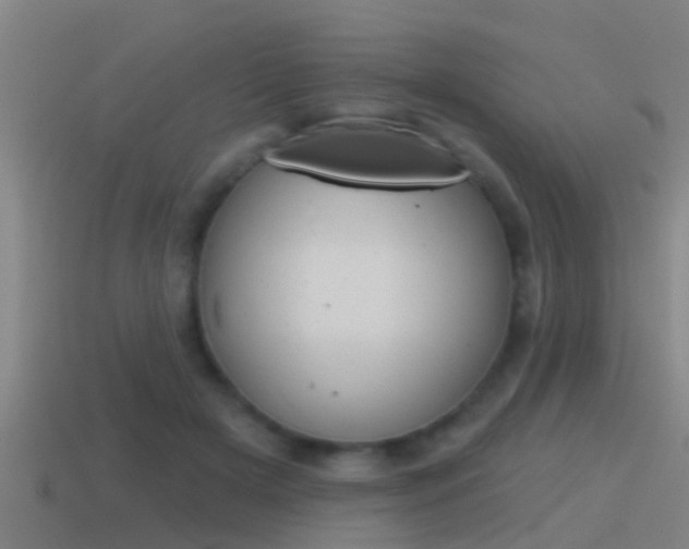 X0000115490505200911061005