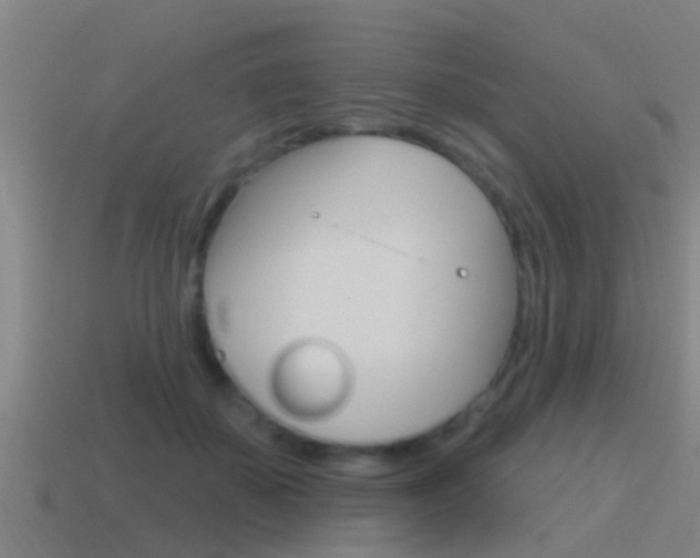 X0000115490507200911061005