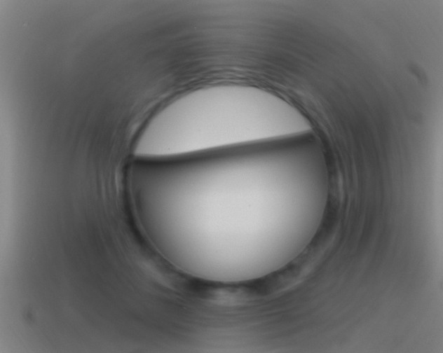 X0000115490508200911061005