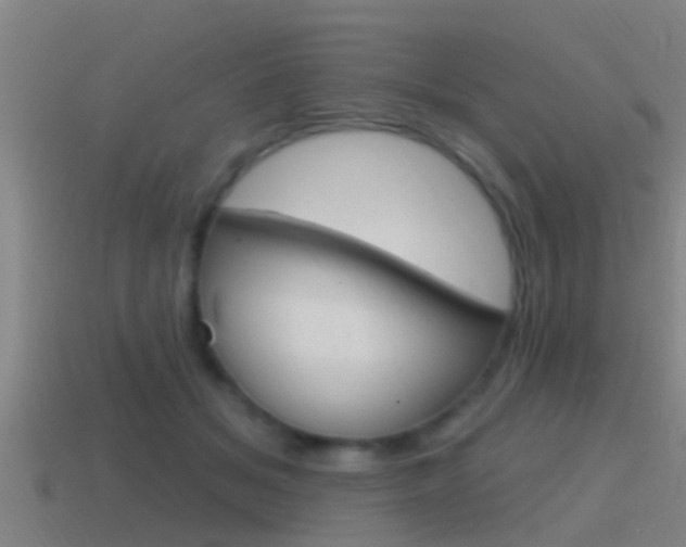 X0000115490509200911061005