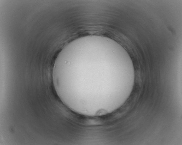 X0000115490510200911061005