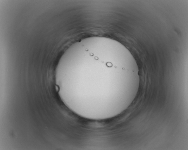 X0000115490511200911061005
