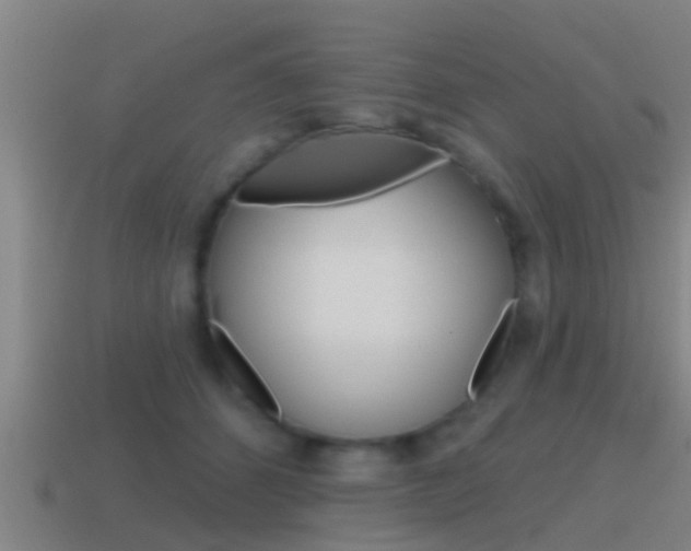 X0000115490512200911061005