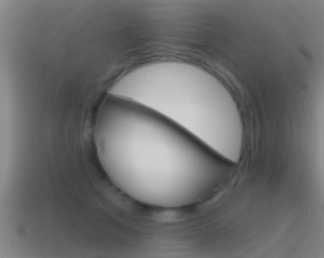 X0000115490513200911061005