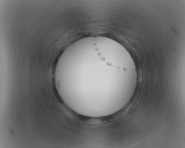 X0000115490519200911061005