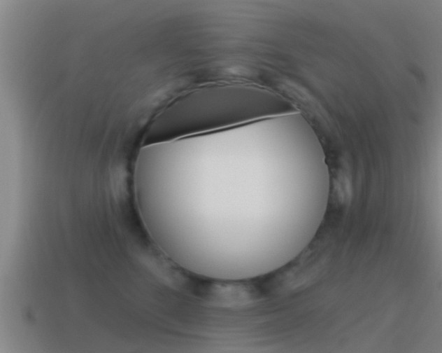 X0000115490520200911061005