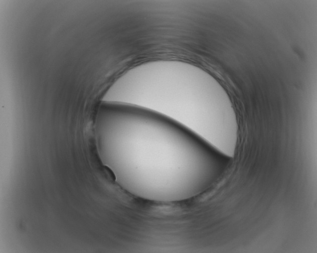 X0000115490521200911061005