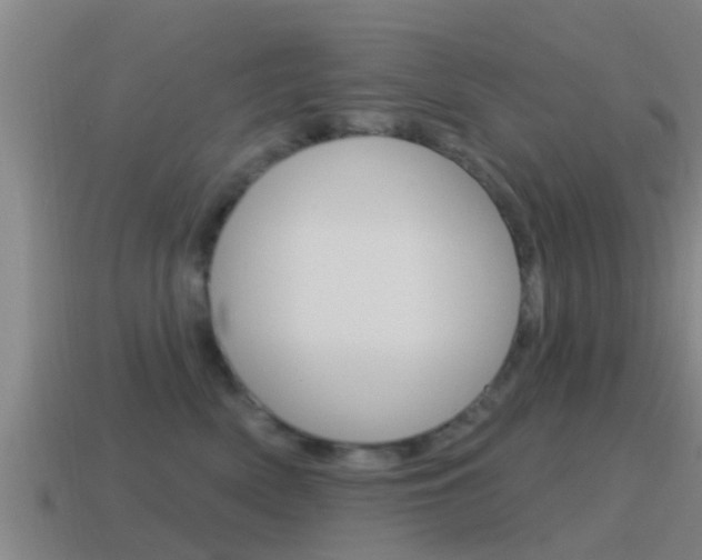 X0000115490522200911061005