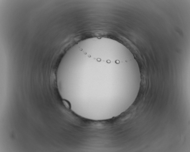 X0000115490523200911061005