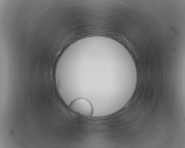 X0000115490524200911061004