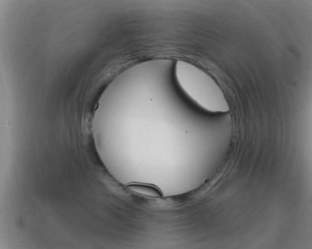 X0000115490525200911061004