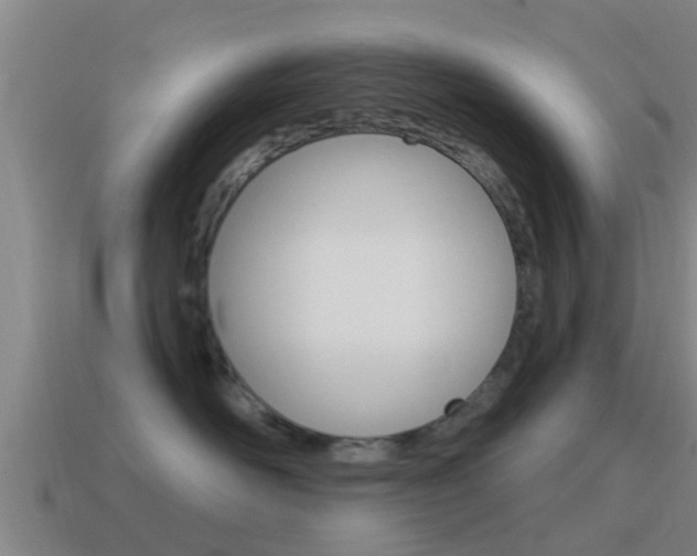 X0000115490526200911061004