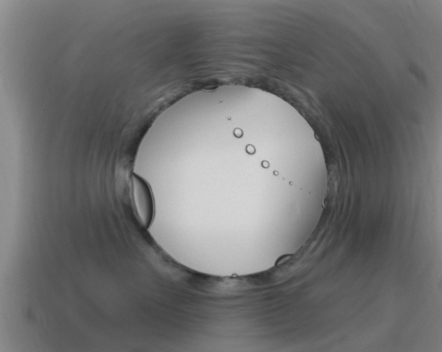 X0000115490527200911061004