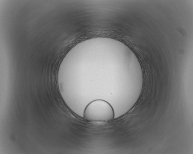 X0000115490528200911061004