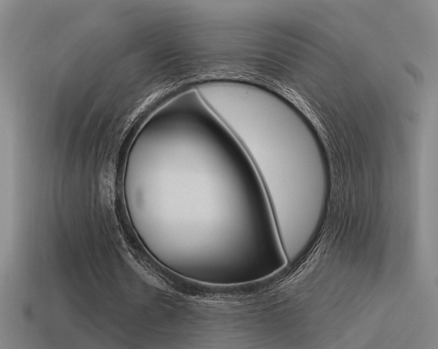 X0000115490530200911061004