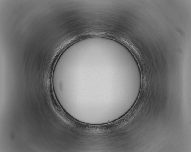 X0000115490533200911061004