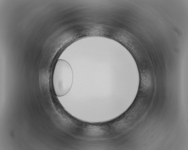 X0000115490534200911061004