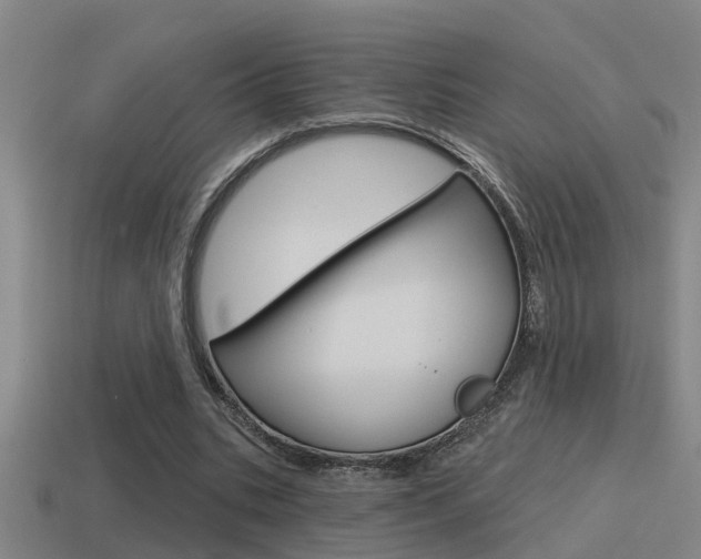 X0000115490535200911061004
