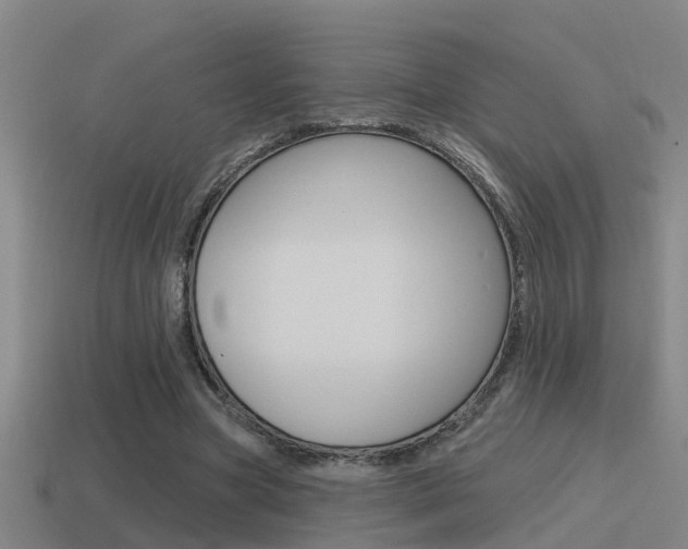X0000115490537200911061004