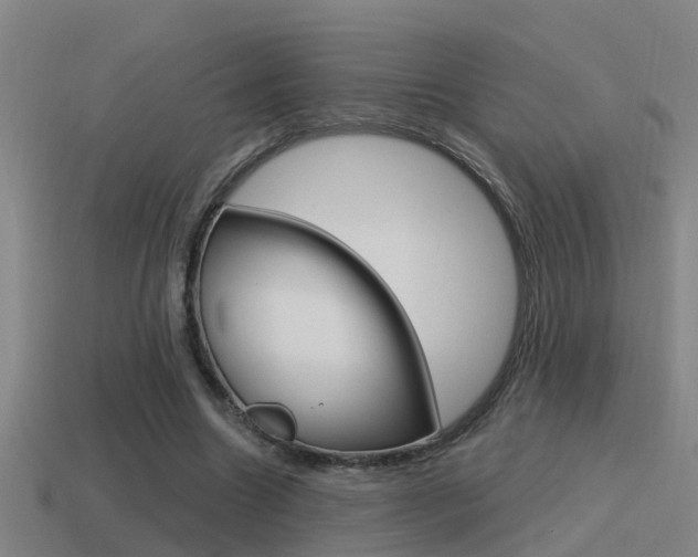 X0000115490538200911061004