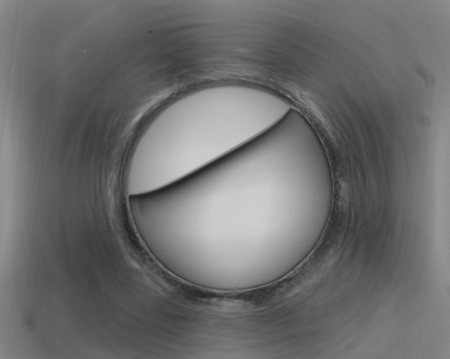 X0000115490539200911061004