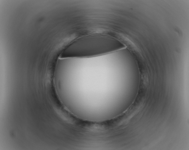 X0000115490546200911061004