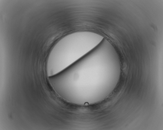 X0000115490547200911061004