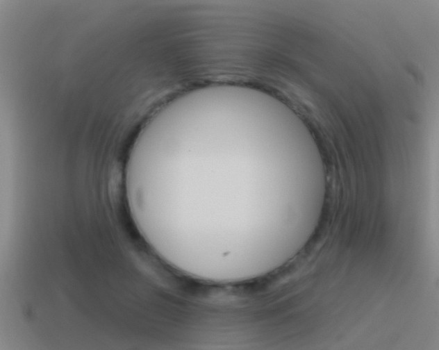 X0000115490550200911061004