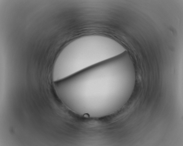 X0000115490551200911061004
