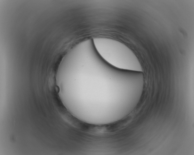 X0000115490554200911061004