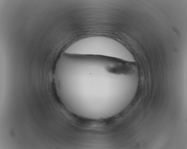 X0000115490555200911061004