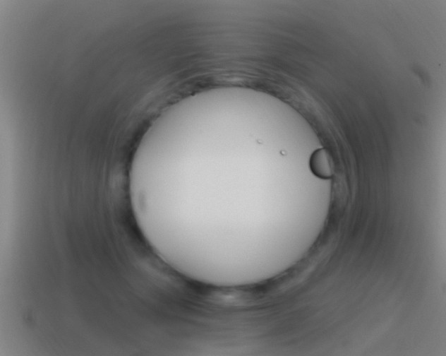 X0000115490557200911061004