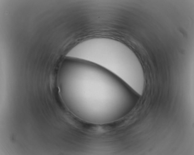 X0000115490558200911061004