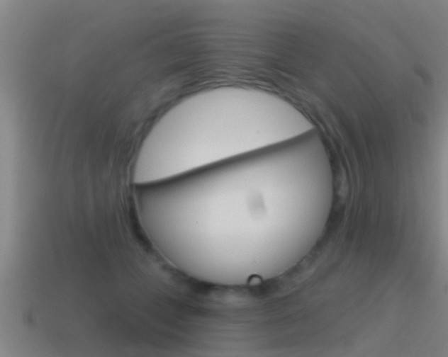X0000115490559200911061004