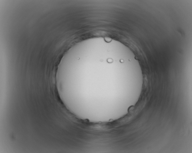 X0000115490561200911061004
