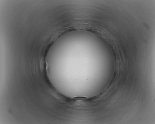 X0000115490562200911061004